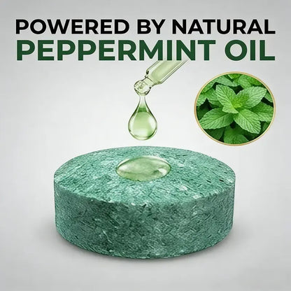 Natural Peppermint Rodent Repellent Balls (12 Pack) 🚫Keep Rats, Mice & Pests Away Safely