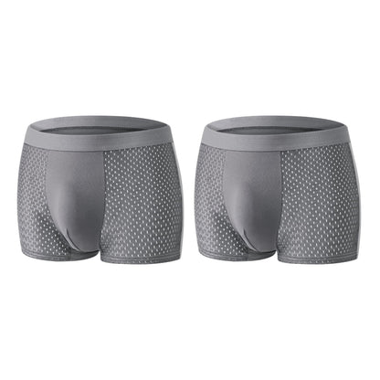 【Buy 3 Get 2 Free】-2026 HOT SALE🔥 Sfrcord® Premium Leakproof lceSilk Mesh Men's Boxer