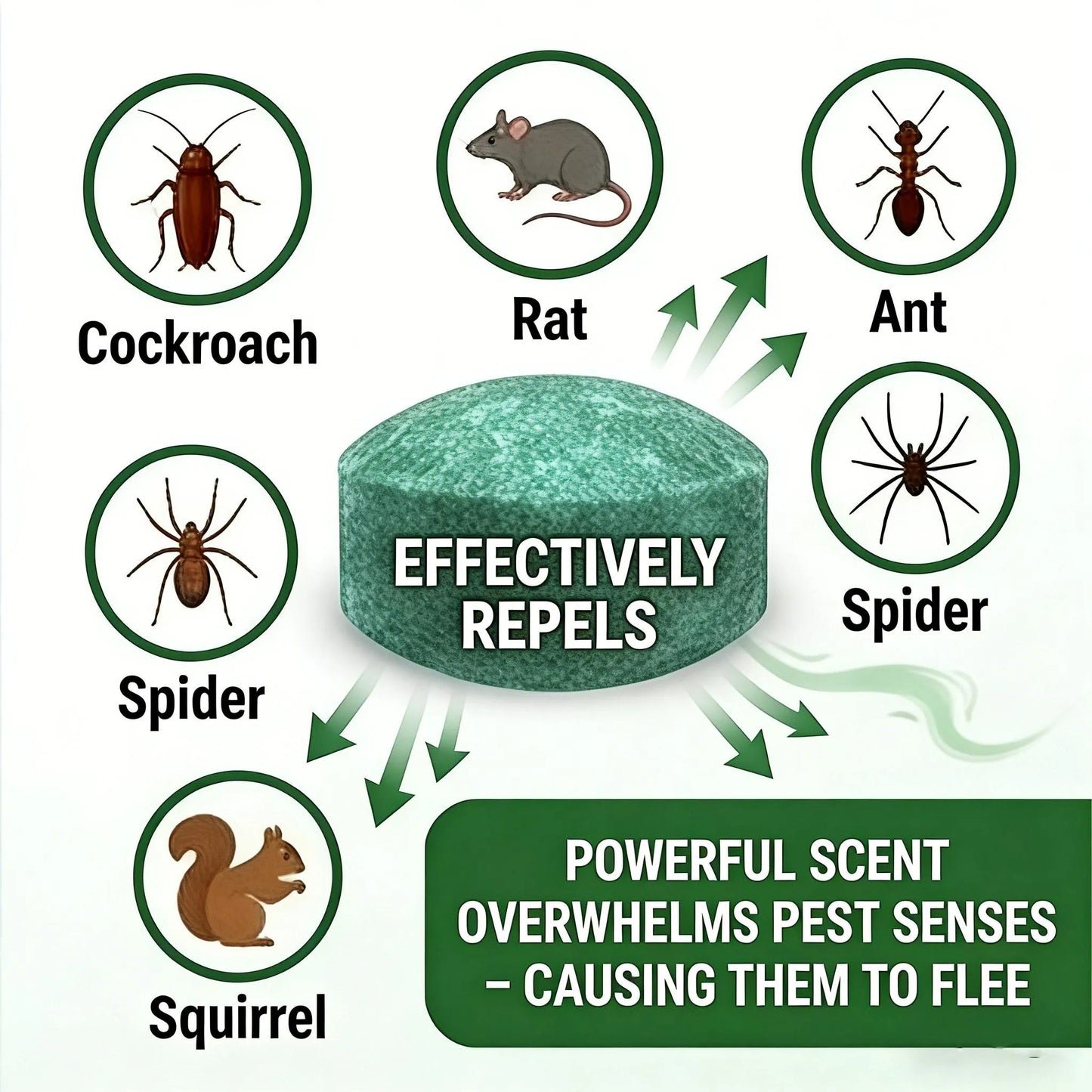 Natural Peppermint Rodent Repellent Balls (12 Pack) 🚫Keep Rats, Mice & Pests Away Safely