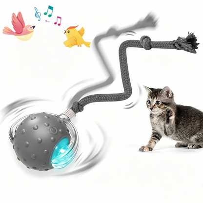 Cat Toy Chirp & Chase Motion Activated Cat Ball with LED Lights