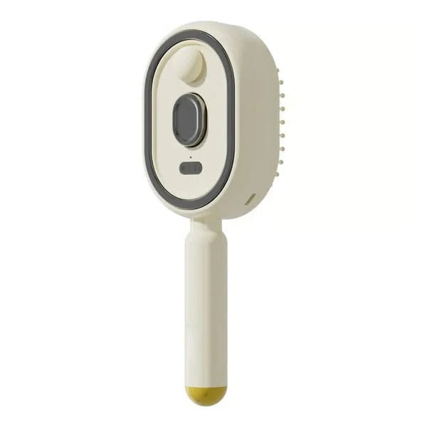 🎁 Electric Spray Air Cushion Massage Comb - Finds🎁