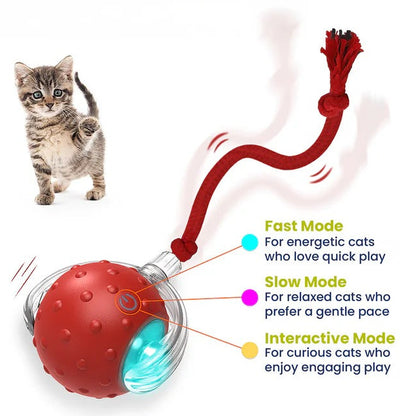 Cat Toy Chirp & Chase Motion Activated Cat Ball with LED Lights