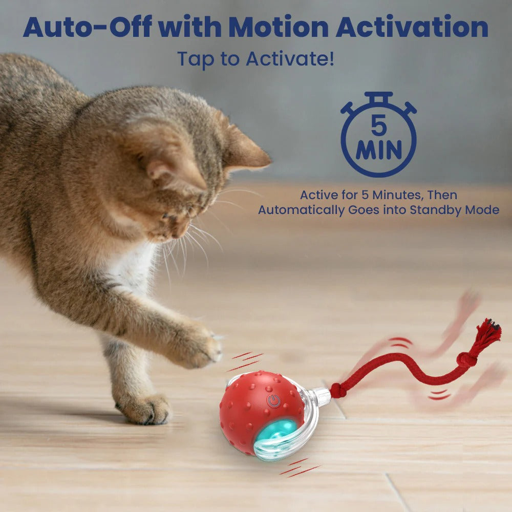 Cat Toy Chirp & Chase Motion Activated Cat Ball with LED Lights