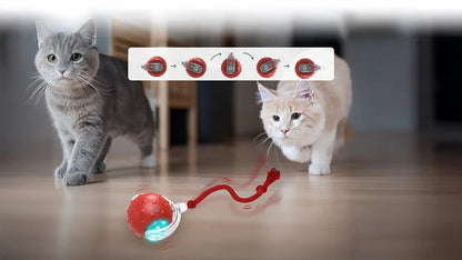 Cat Toy Chirp & Chase Motion Activated Cat Ball with LED Lights