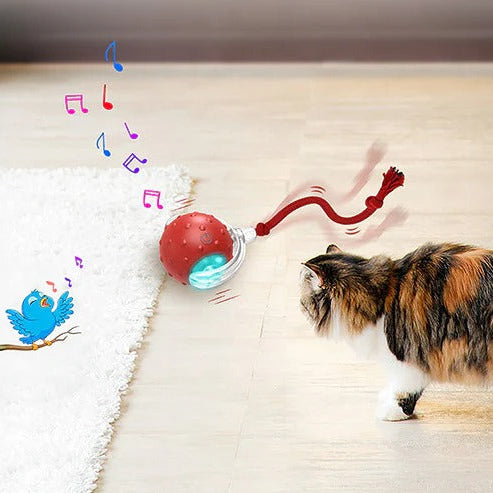 Cat Toy Chirp & Chase Motion Activated Cat Ball with LED Lights