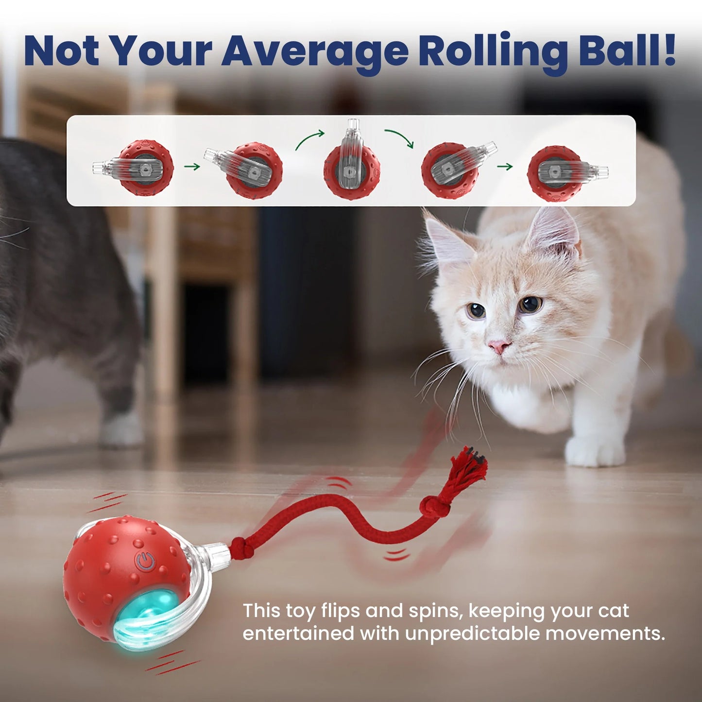 Cat Toy Chirp & Chase Motion Activated Cat Ball with LED Lights