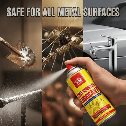 Anti-Rust Lubricant Spray & Rust Remover