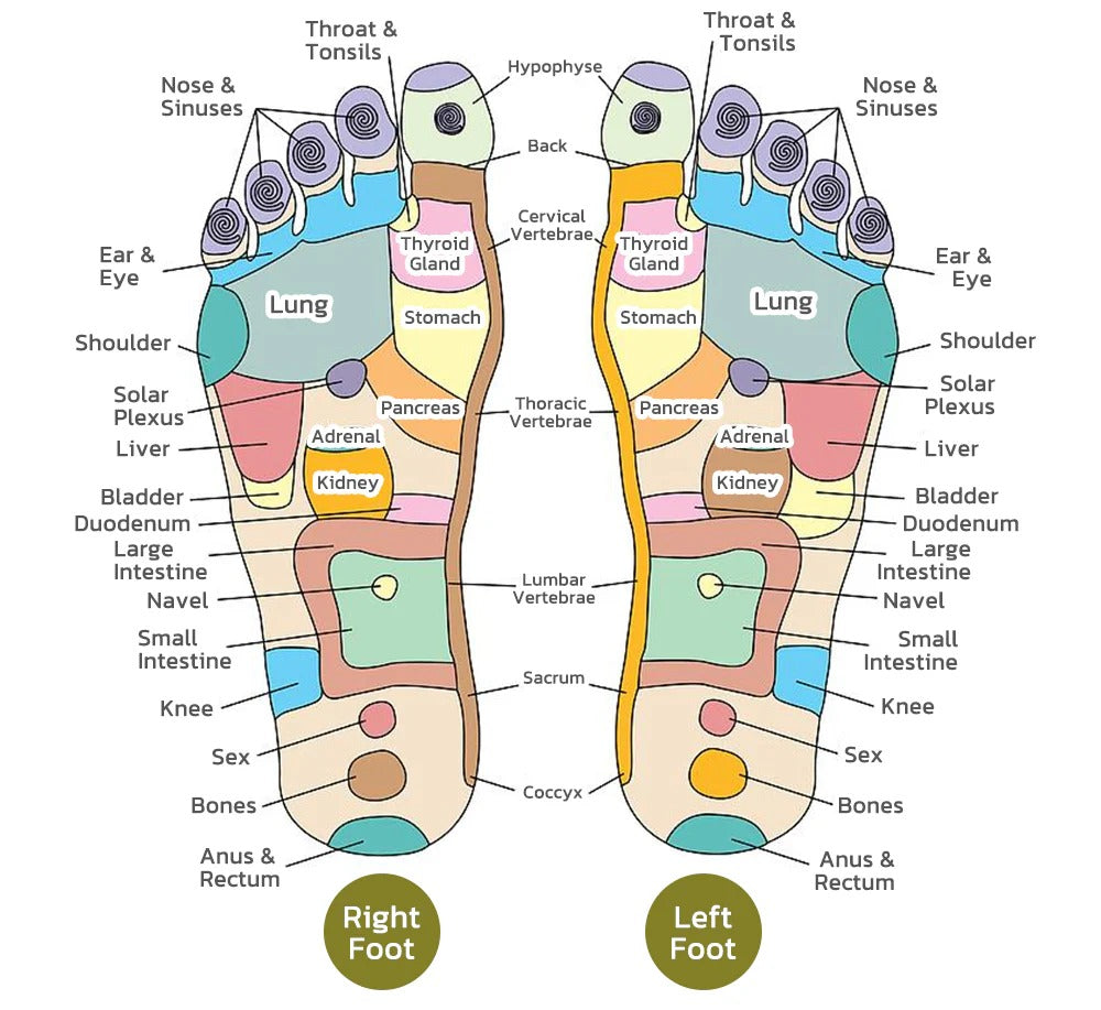 Alcuras™ PRO Herbal Detox Foot Soak Beads