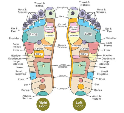 Alcuras™ PRO Herbal Detox Foot Soak Beads