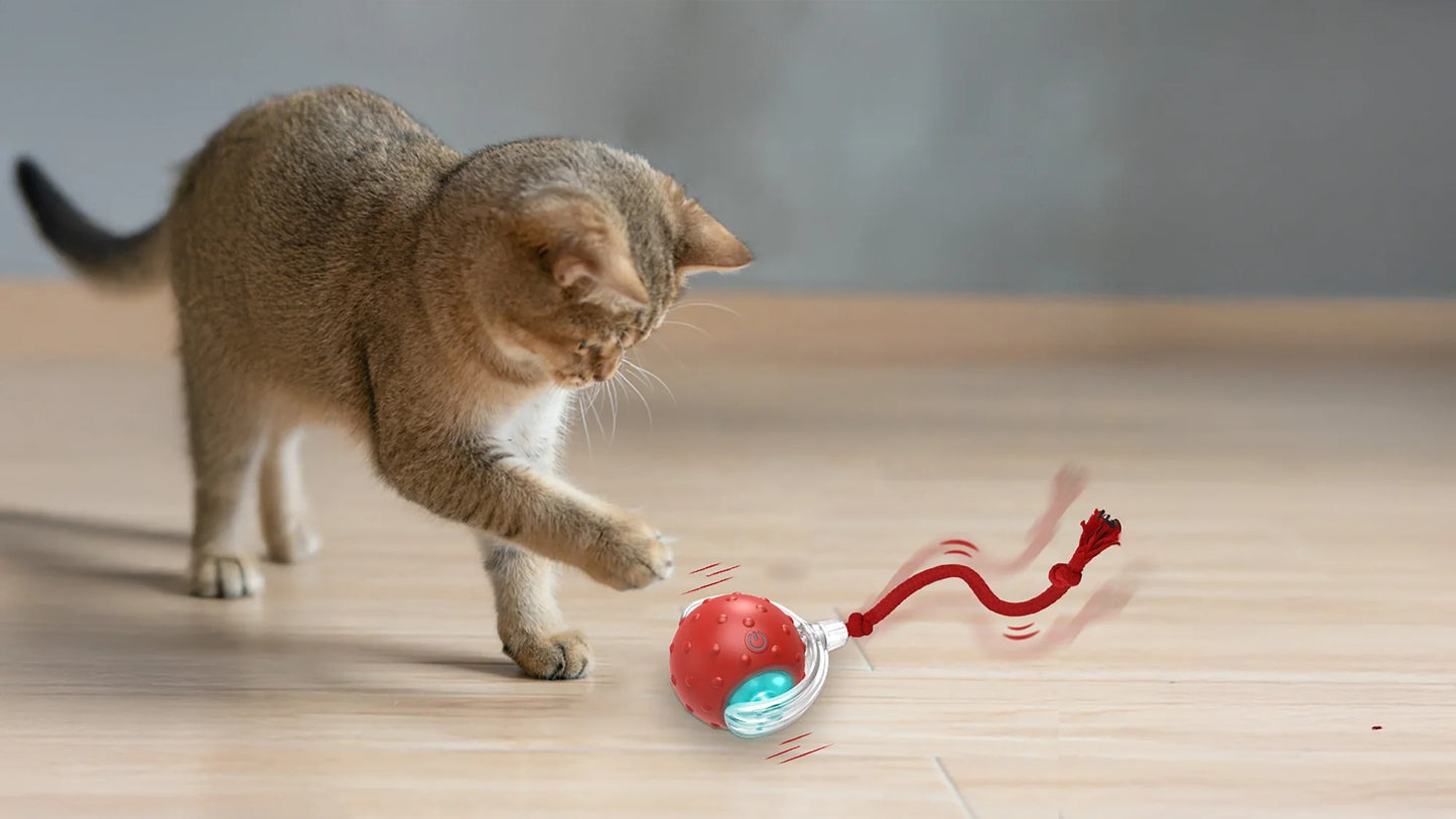 Cat Toy Chirp & Chase Motion Activated Cat Ball with LED Lights