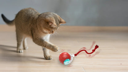 Cat Toy Chirp & Chase Motion Activated Cat Ball with LED Lights