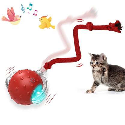 Cat Toy Chirp & Chase Motion Activated Cat Ball with LED Lights