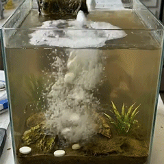 Polymer-Based Water Purification Tablets